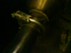 a840952-exhaust clamp.JPG